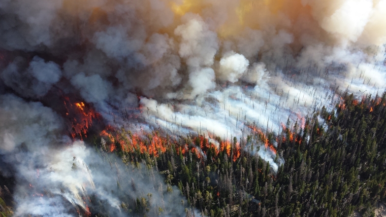 California Wildfires:  Impact on Housing Market